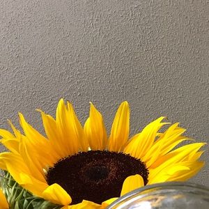 Meet your Posher, Natallie